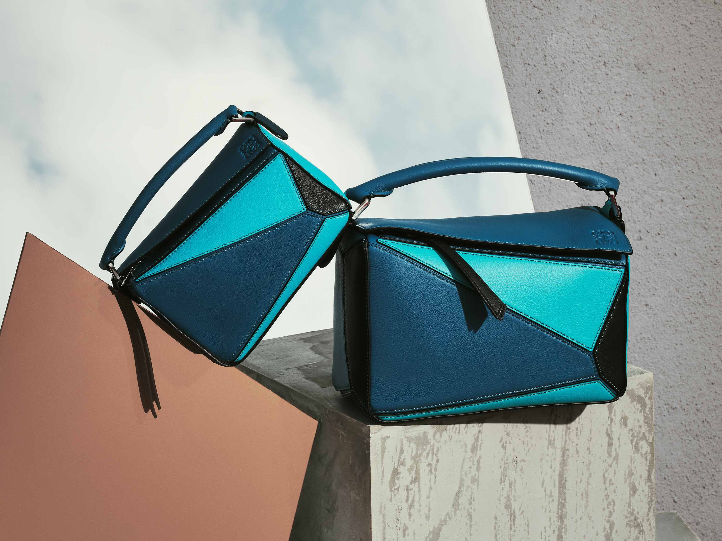 Loewe Calf Bag 2019 2024 jasterluis